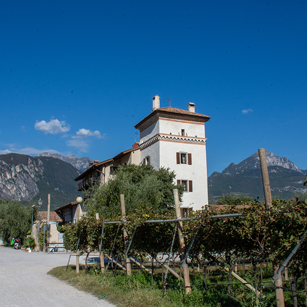 Ristorante La Colombera