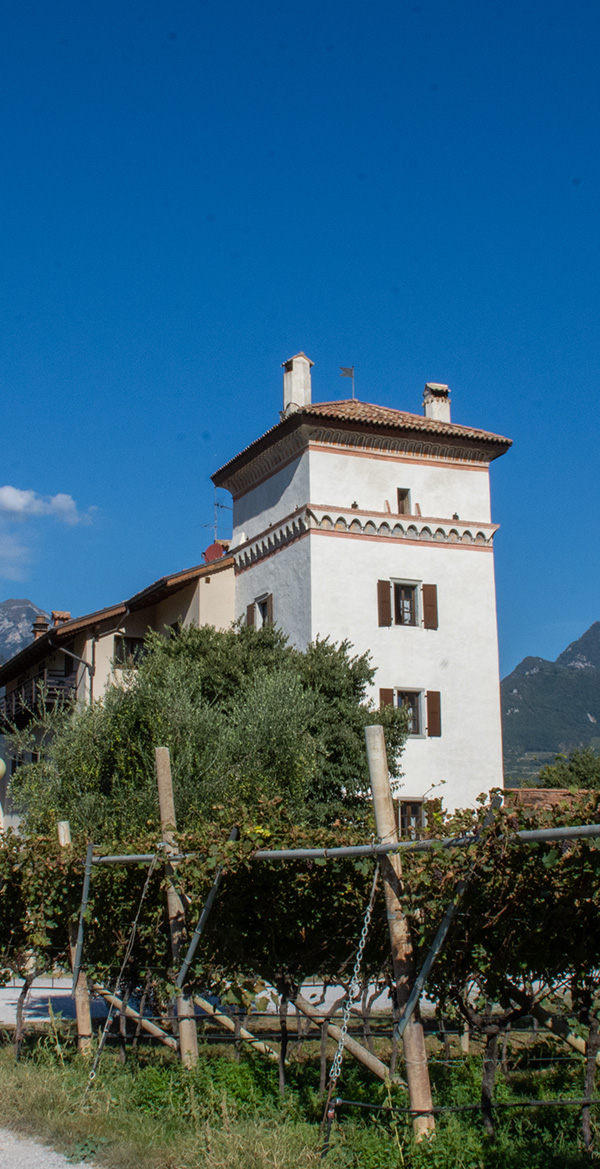 Ristorante La Colombera